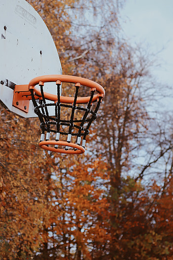 Sports, Basketball, Grid, Basket, Basketball Hoop, Basketball Ring HD phone wallpaper