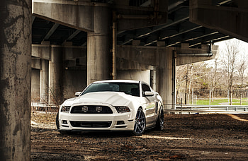 Ford Carol Shelby GT500 , ford-mustang, shelby, ford, 2019-cars, cars HD wallpaper