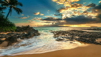 Maui beach, Tropical paradise, Ocean waves, Palm trees HD wallpaper