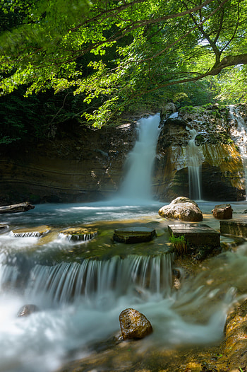 Nature, Trees, Stones, Waterfall, Branch HD phone wallpaper