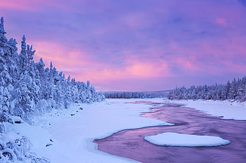 Winter , winter, nature, snow, pink HD wallpaper