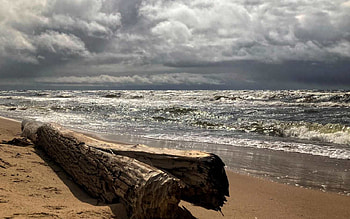 Log by Sea, sea, log, clouds, Latvia, beach HD wallpaper