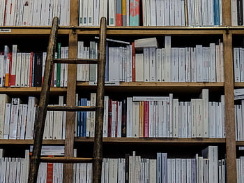 A wooden ladder leaning against a full bookcase in a library, showcasing hardcover books arranged in an organized manner. HD wallpaper