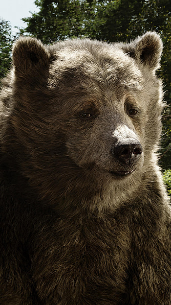 The Jungle Book (2022) movie HD phone wallpaper