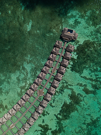 Nature, Water, View From Above, Ocean, Tropics, Bungalow HD phone wallpaper