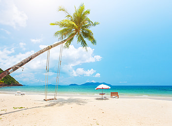 Coconut beach island, Beach, Summer, Sand, Sea HD wallpaper