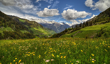 Surselva-Valley, Valley, Surselva, nature, Mountain HD wallpaper