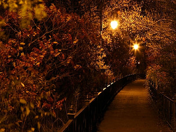 Night Walk, night, lights, walk HD wallpaper