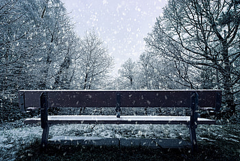 Bench Snowfall , snowfall, nature HD wallpaper