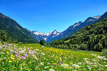 Mountain meadow, mountain, wildflowers, summer, sky, meadow, grass, beautiful HD wallpaper