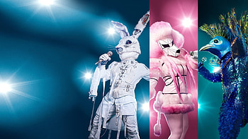 The Masked Singer, Fox cartoon, Singer anime HD wallpaper