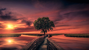 Foot Bridge Sunset, bridge, foot bridge, landscape, nature, sunset HD wallpaper
