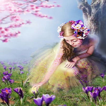 touch of spring, magic, crocus, spring, beauty HD wallpaper