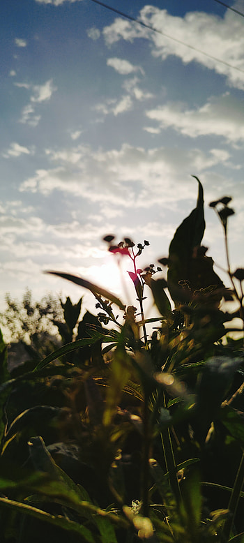 Nature Vibe, cloud, sky HD phone wallpaper