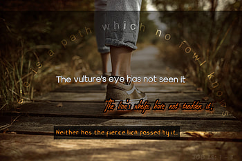 A path, feet, path, religious, bible HD wallpaper