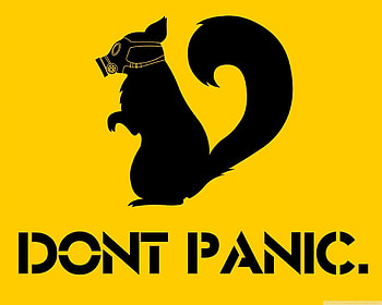 Funny, Animals, Squirrel, Background HD wallpaper