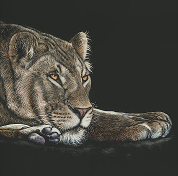 Art, Drawing, , Big Cat, Sight, Opinion, Lioness HD wallpaper