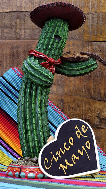 Cinco De Mayo, Wooden Background, Cactus HD phone wallpaper