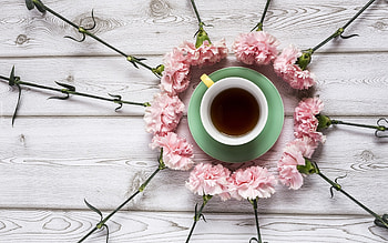 Tea and Carnations, pink, carnations, tea, flowers, cup HD wallpaper