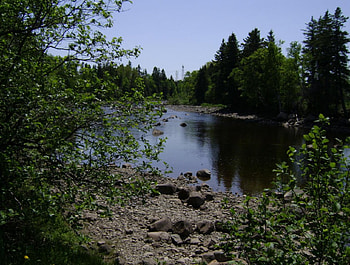 untitle2, trees, river, rocks HD wallpaper