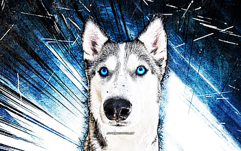 Siberian Husky, grunge art, Husky with blue eyes, cute animals, pets, dogs, blue abstract rays, Husky , husky, abstract siberian husky HD wallpaper