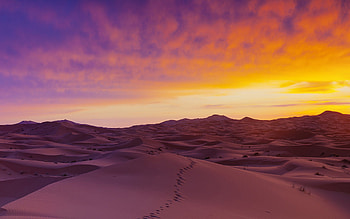 Sahara Desert Sand Dunes, sahara, desert, nature, sand, dunes HD wallpaper