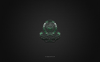 Mohammedan SC, Indian american football club, green logo, green carbon fiber background, EFLI, american football, Elite Football League of India, Kolkata, India, Mohammedan SC logo HD wallpaper