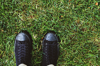 Grass, Drops, Sneakers, Minimalism, Dew, Shoes HD wallpaper