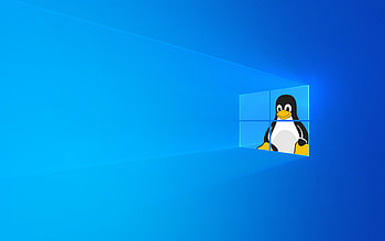 Tux Behind the Window : linux, Linux vs Windows HD wallpaper