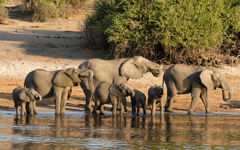 Botswana , Visual splendor, Nature's charm, Exquisite scenery HD wallpaper