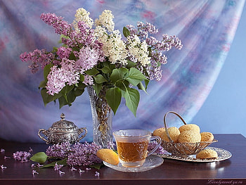 Still Live, flower, soft color, flowers, fruits, cup tea HD wallpaper