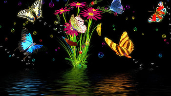 Butterflies at Night, night, animal, butterflies, plant, water HD wallpaper