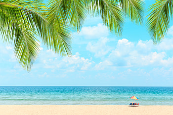Summer beach, Paradise, Sand, Palm trees, Sky HD wallpaper