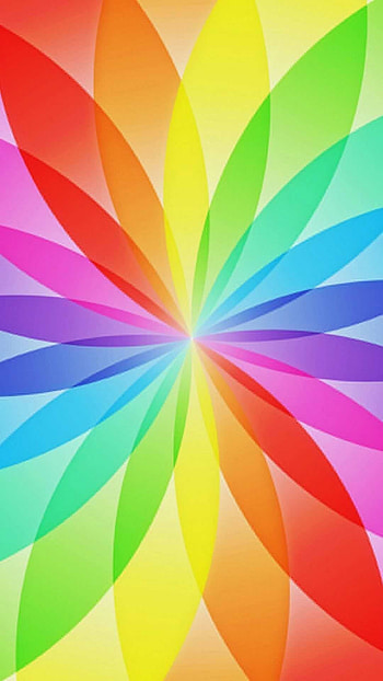Rainbow, Colorful arches, Nature's prism, Spectral delight HD phone wallpaper