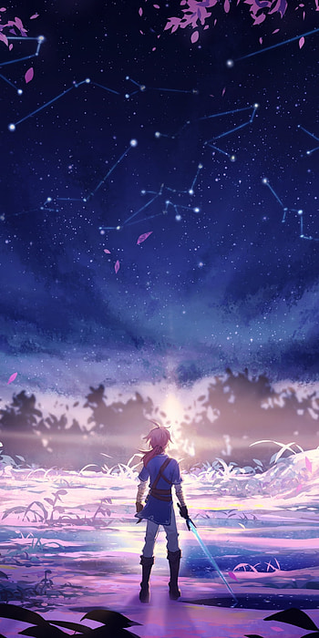 Link: Starlit Dawn — Breath of the Wild , Link, video game, The Legend of Zelda: Breath of the Wild HD phone wallpaper