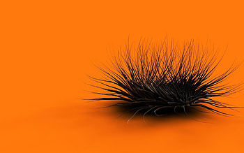 3D, Form, Fluff, Fuzz HD wallpaper