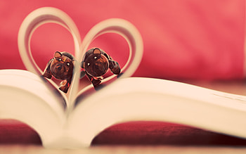 Can't Bear To Be Without You, bears, book, toys, abstract, graphy, cute HD wallpaper