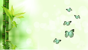 Butterflies and Bamboo, butterflies, green, relaxation, soft, bamboo, Firefox Persona theme, serenity, tranquil HD wallpaper