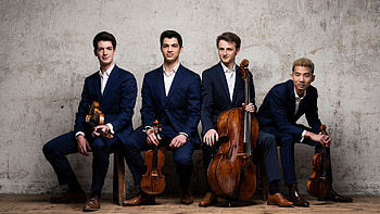 Basel ensemble, Quatuor Arod, Chamber music quartet, Harmonious melodies HD wallpaper