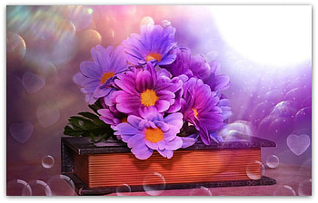 lila flowers, natur, flowers, lila, painting HD wallpaper
