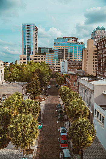 Cities, Auto, Palms, City, Building, Road HD phone wallpaper