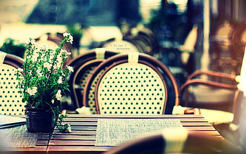 Interior, Flower, Miscellanea, Miscellaneous, Table, Coziness, Comfort, Cafe, Café, Chairs HD wallpaper