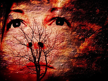 Face of the Sky, face, sky, woman, silhouette, tree HD wallpaper