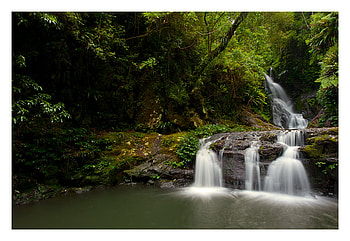 gravity, trees, waterfalls, nature, forest HD wallpaper