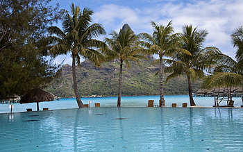 Nature, Palms, Mountain, Resort, Pool HD wallpaper