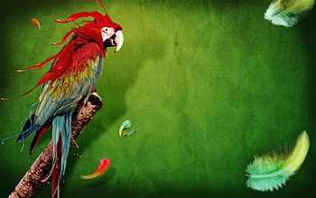 Animals, Birds, Parrots, Art HD wallpaper
