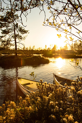Nature, Rivers, Boats, Bush, Beams, Rays HD phone wallpaper