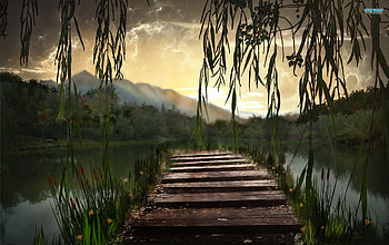 Pier, nature, jungle, lake HD wallpaper