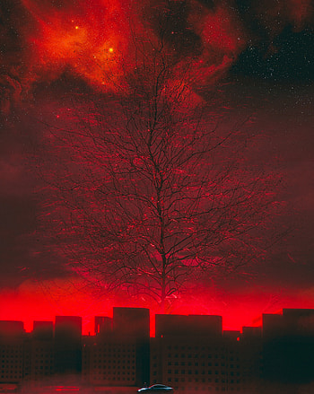 Art, Wood, Tree, Car, Futurism, Sci-Fi HD phone wallpaper