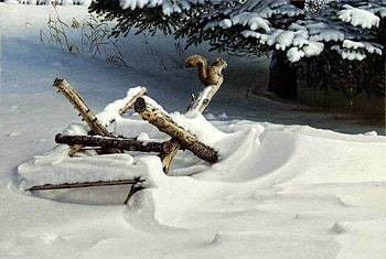 Snow Day, winter, pine tree, snow, branches, squirrel, tree HD wallpaper